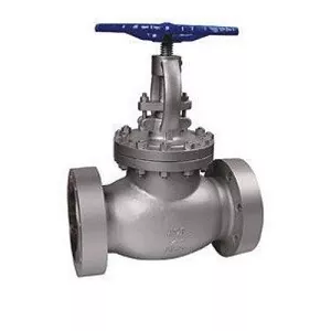DN200 고압 BS Globevalve